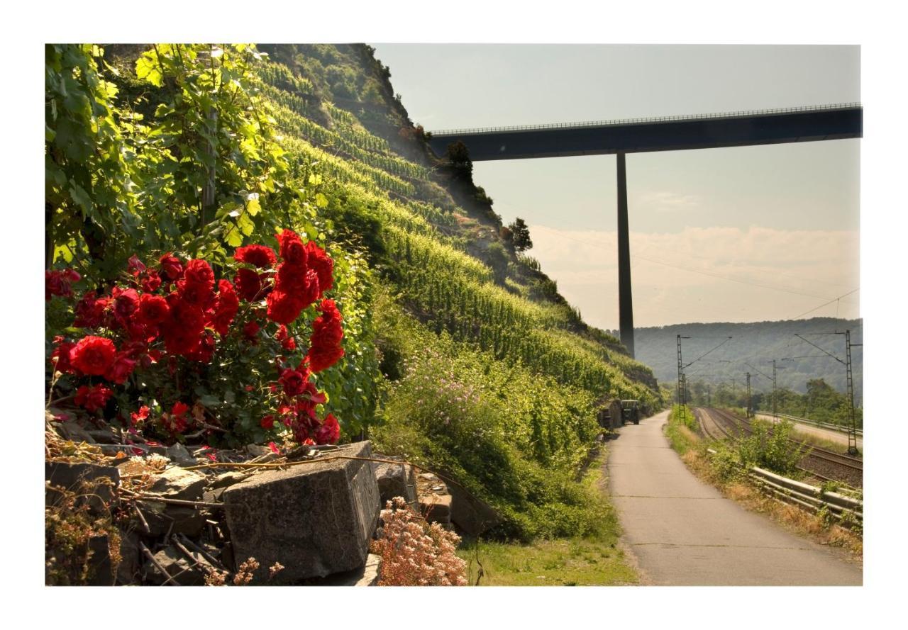Alkener Elfenhaus Mit Kostenlosen Gaeste Ticket المظهر الخارجي الصورة